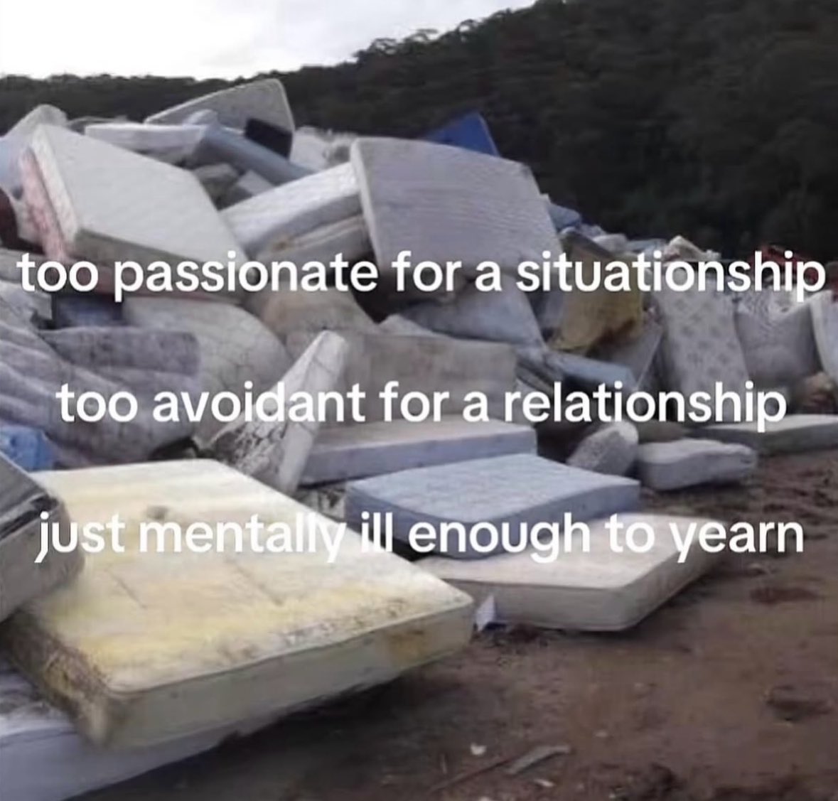 ✧ (@northstardoll) on Twitter photo 