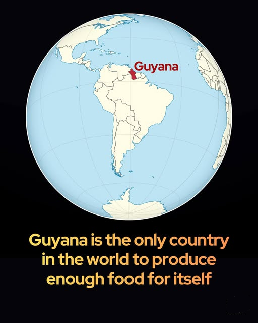 Only one country can feed itself entirely: Guyana.

If international food trade suddenly stopped tomorrow, just one country on Earth would be able to feed its entire population without any imports.

A 2025 study in Nature Food examined the domestic production capacity of 186