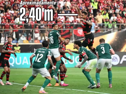 wolfkickss's tweet image. acaba de me chegar a informação de que Danilo pulou 2,40m na sua cabeçada do gol do título.

2,40
2 e 4

bi e tetra.

seremos bicampeões mundiais.