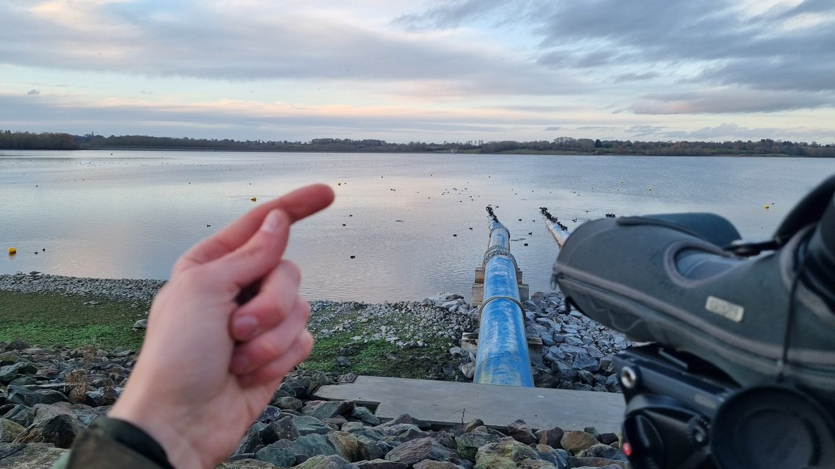 Craig Reed tweet media