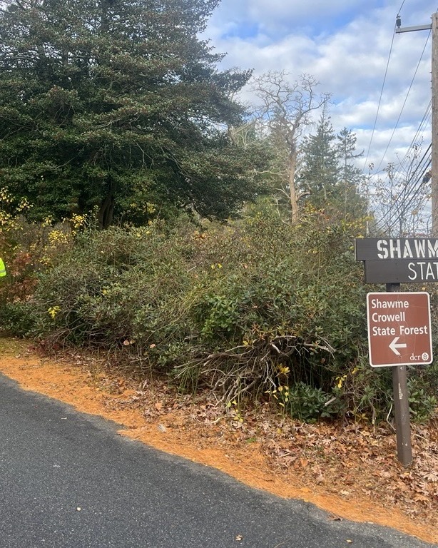 CapeCodGov's tweet image. AmeriCorps Cape Cod — a program administered by Barnstable County — recently completed a brush-clearing project at Shawme-Crowell State Park to improve road visibility and visitor safety. The crew also uncovered the park’s hidden dedication marker during the work.
#capecod