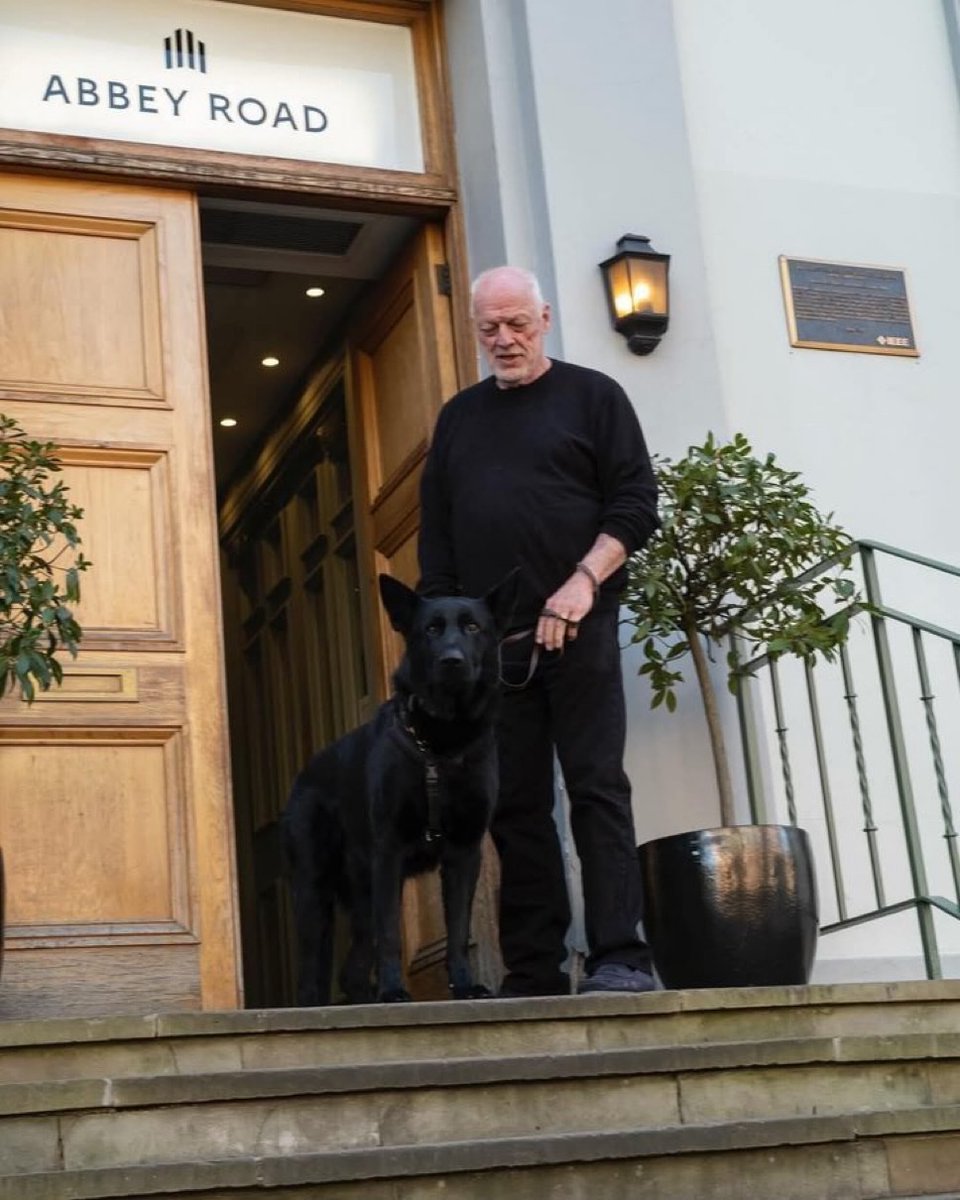 historyrock_'s tweet image. Pink Floyd&apos;s David Gilmour and his dog at Abbey Road Studios