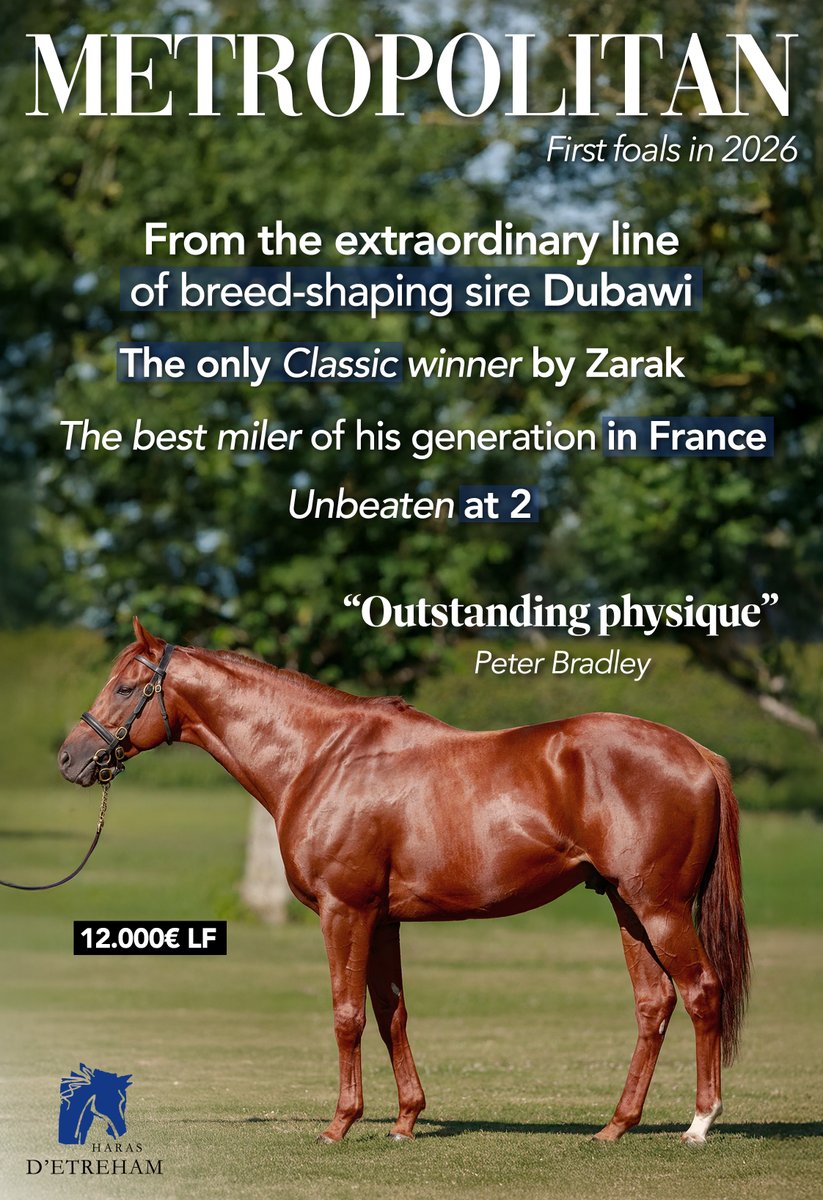 Haras d'Etreham tweet media