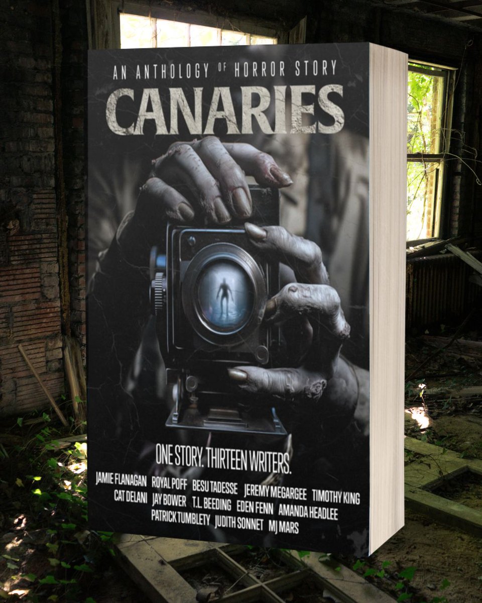 CultNobody's tweet image. The Kickstarter for Canaries is live! Check it out! 

13 authors, 13 chapters, one story!

kck.st/48hxSjW