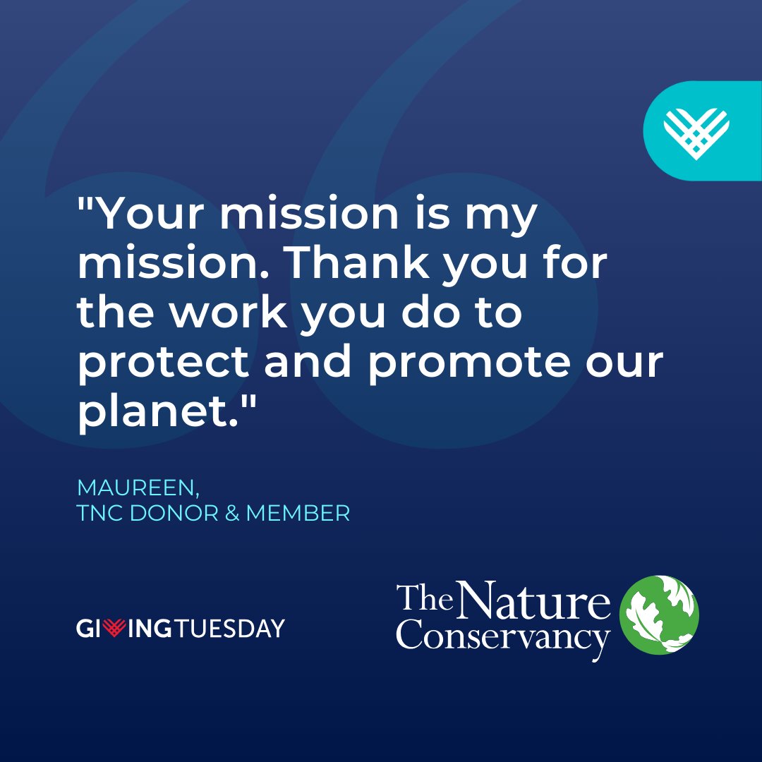 nature_TN's tweet photo. Every gift tells a story. This #GivingTuesday, join us in writing the next chapter for Tennessee’s precious lands, waters, and wildlife. 
Donate today: https://t.co/M6ReUU6EvX https://t.co/dsvzEsUmOi