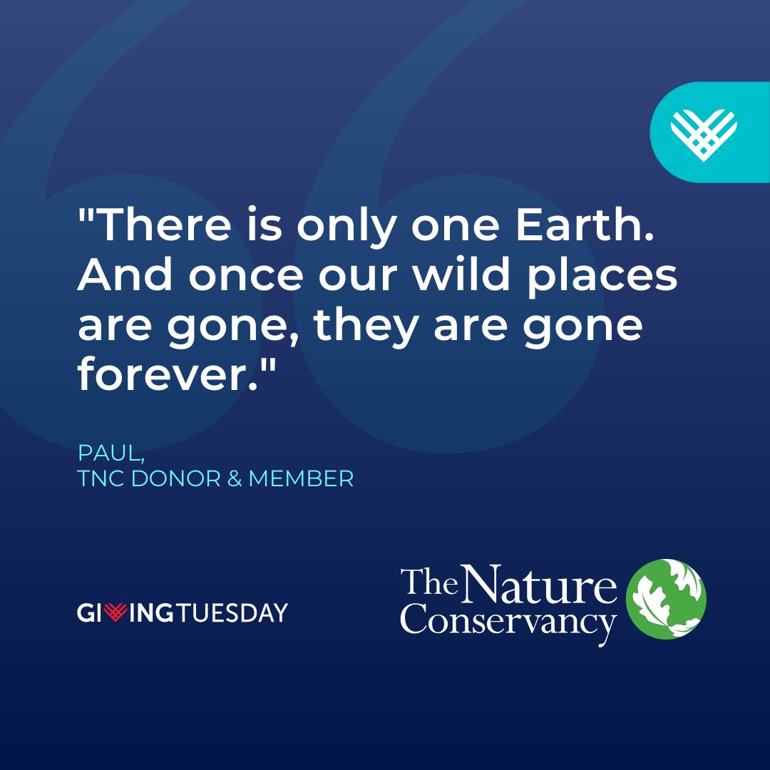 nature_TN's tweet photo. Every gift tells a story. This #GivingTuesday, join us in writing the next chapter for Tennessee’s precious lands, waters, and wildlife. 
Donate today: https://t.co/M6ReUU6EvX https://t.co/dsvzEsUmOi