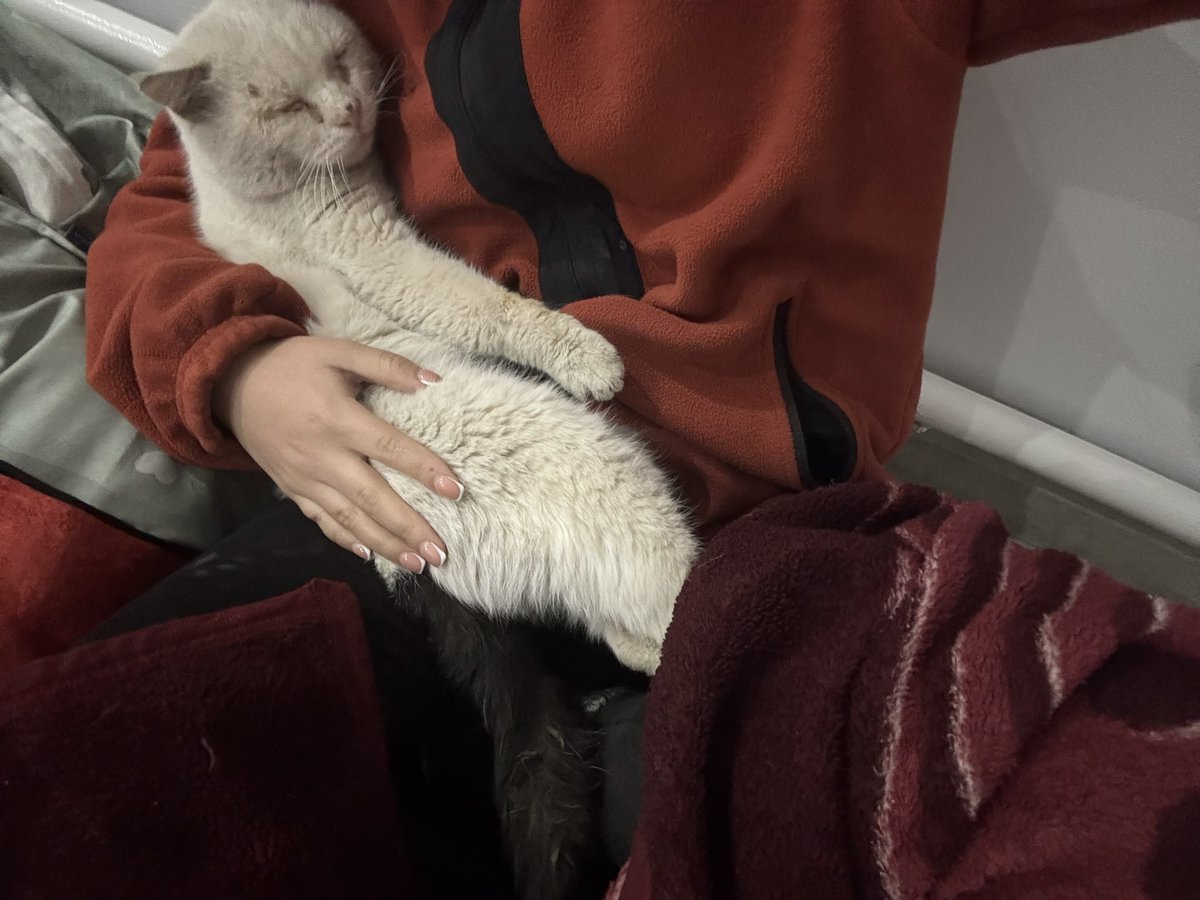 Жаным такой🥹