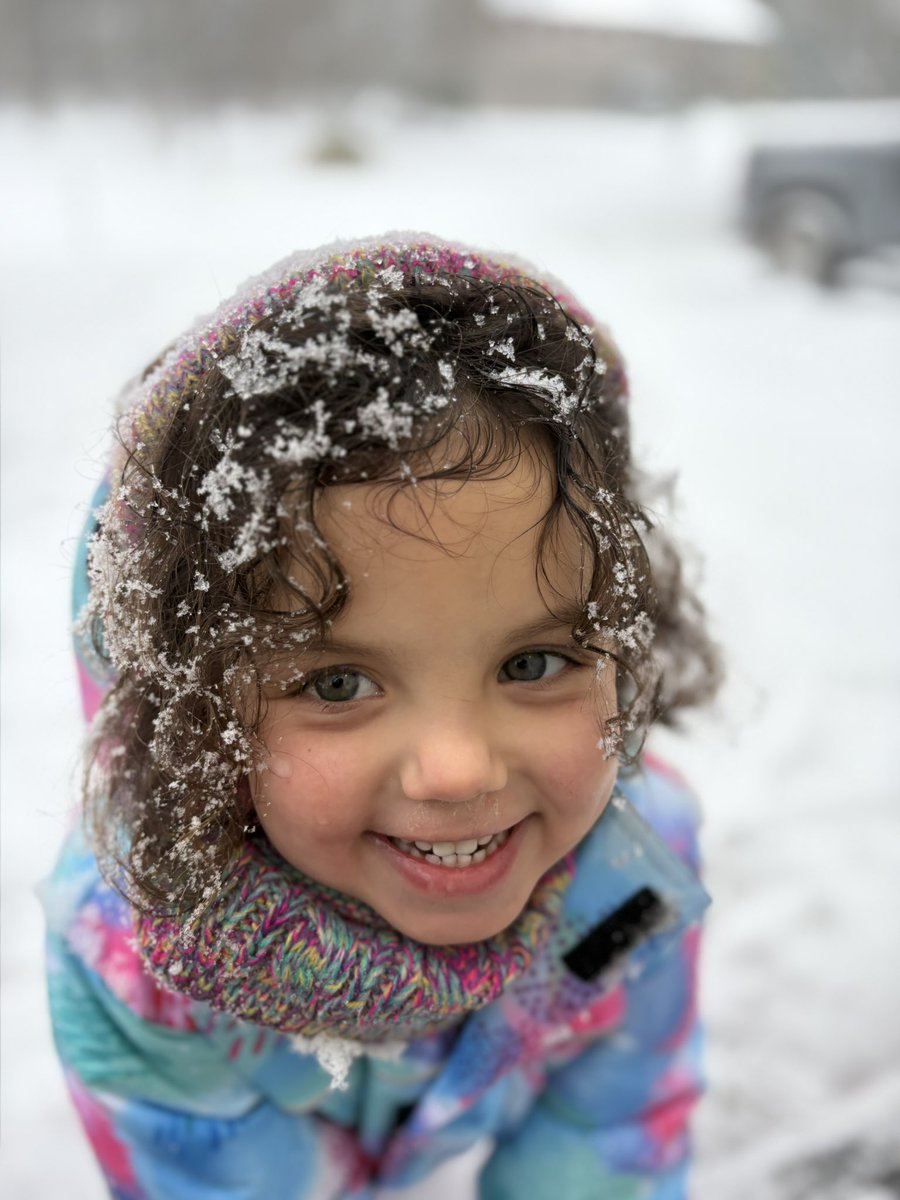 JoshLennie's tweet photo. First snow of the year and the duchess is living her best life. Jude on the other hand is not a fan. #kidsofturf https://t.co/4mAPfCXmzY