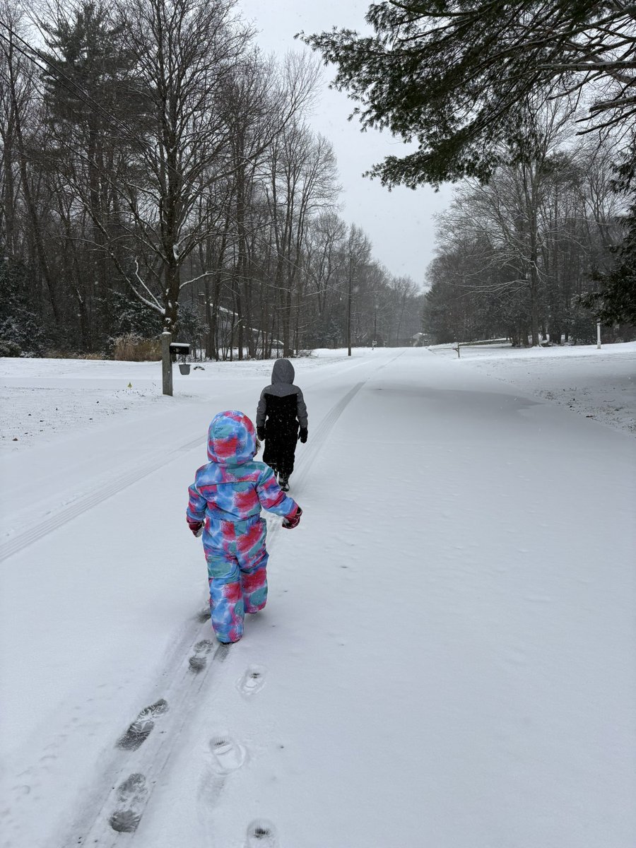JoshLennie's tweet photo. First snow of the year and the duchess is living her best life. Jude on the other hand is not a fan. #kidsofturf https://t.co/4mAPfCXmzY