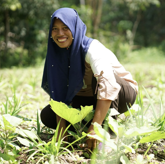 Community Impact Spotlight ✨

🌱Over 800 farmers are embracing no-burn, chemical-free agriculture through KMP’s Agroecology Farming Program, protecting 780 hectares and transforming local livelihoods. 

Inspired? 👉 Share this &amp; learn more in our bio.
#Community #Sustainability