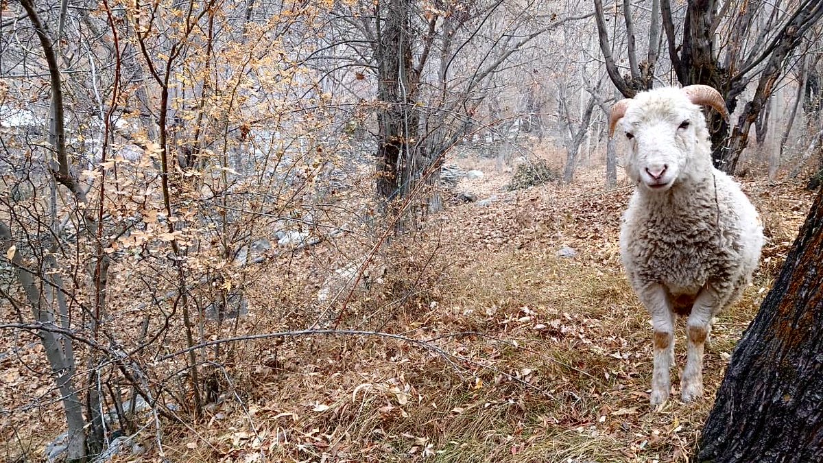 🌙 (@hexesandspell) on Twitter photo 