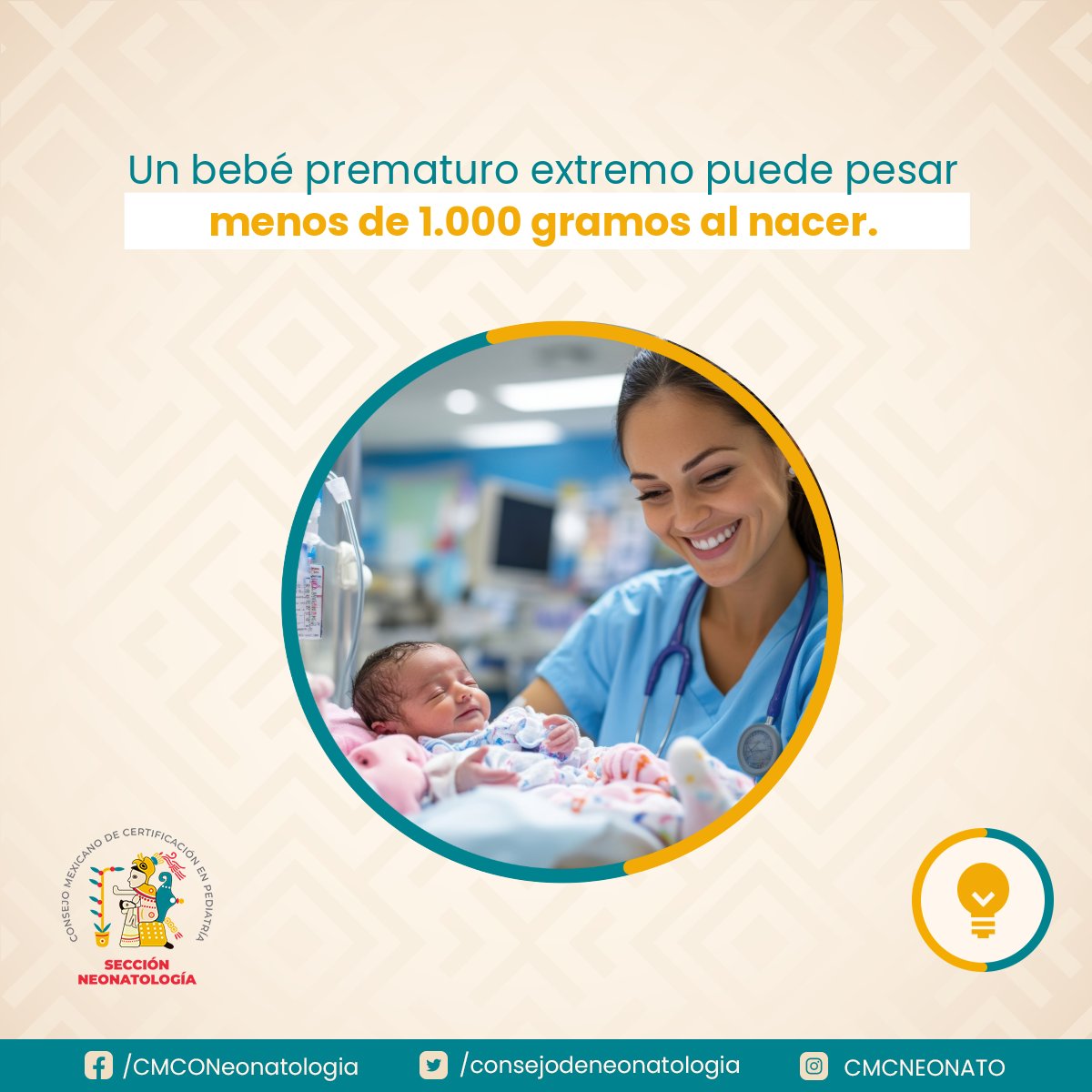 ⚖️ Un bebé prematuro extremo puede pesar menos de 1.000 gramos al nacer.
Aunque su cuerpo es pequeño, su capacidad de luchar es inmensa.
Cada gramo ganado, cada respiración, cada día... es una victoria.
#Prematurez #DatosCuriosos #Neonatología
