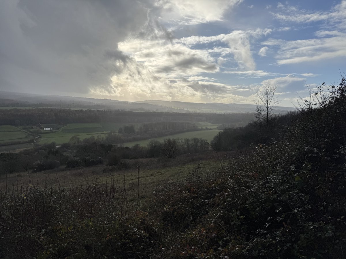 Steve Lewis tweet media