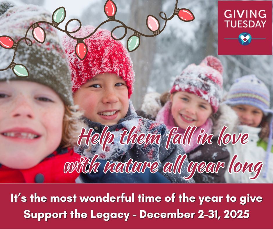 Ann & Sandy Cross Conservation Area tweet media