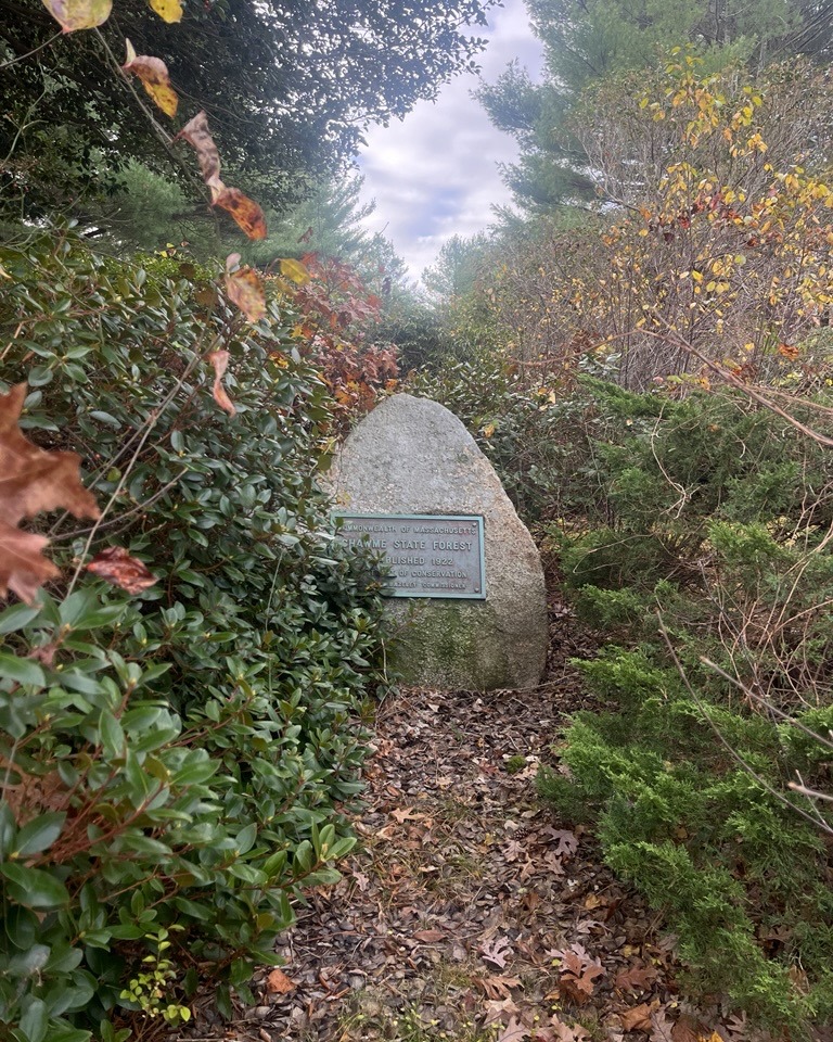 CapeCodGov's tweet image. AmeriCorps Cape Cod — a program administered by Barnstable County — recently completed a brush-clearing project at Shawme-Crowell State Park to improve road visibility and visitor safety. The crew also uncovered the park’s hidden dedication marker during the work.
#capecod