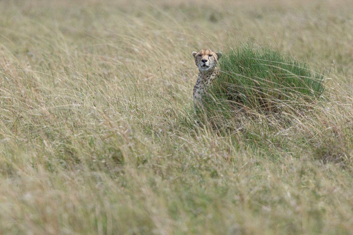 Simon Reeve tweet media