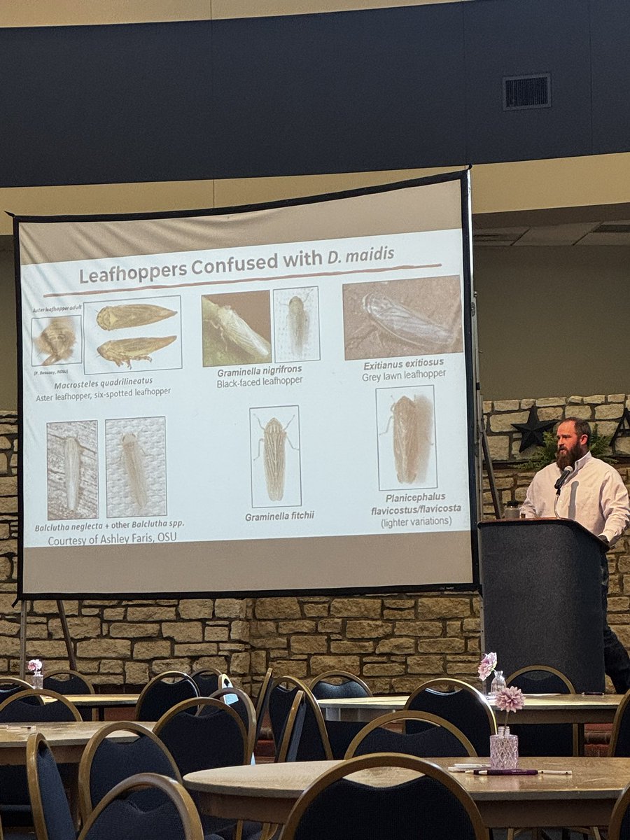 Big Case tweet media