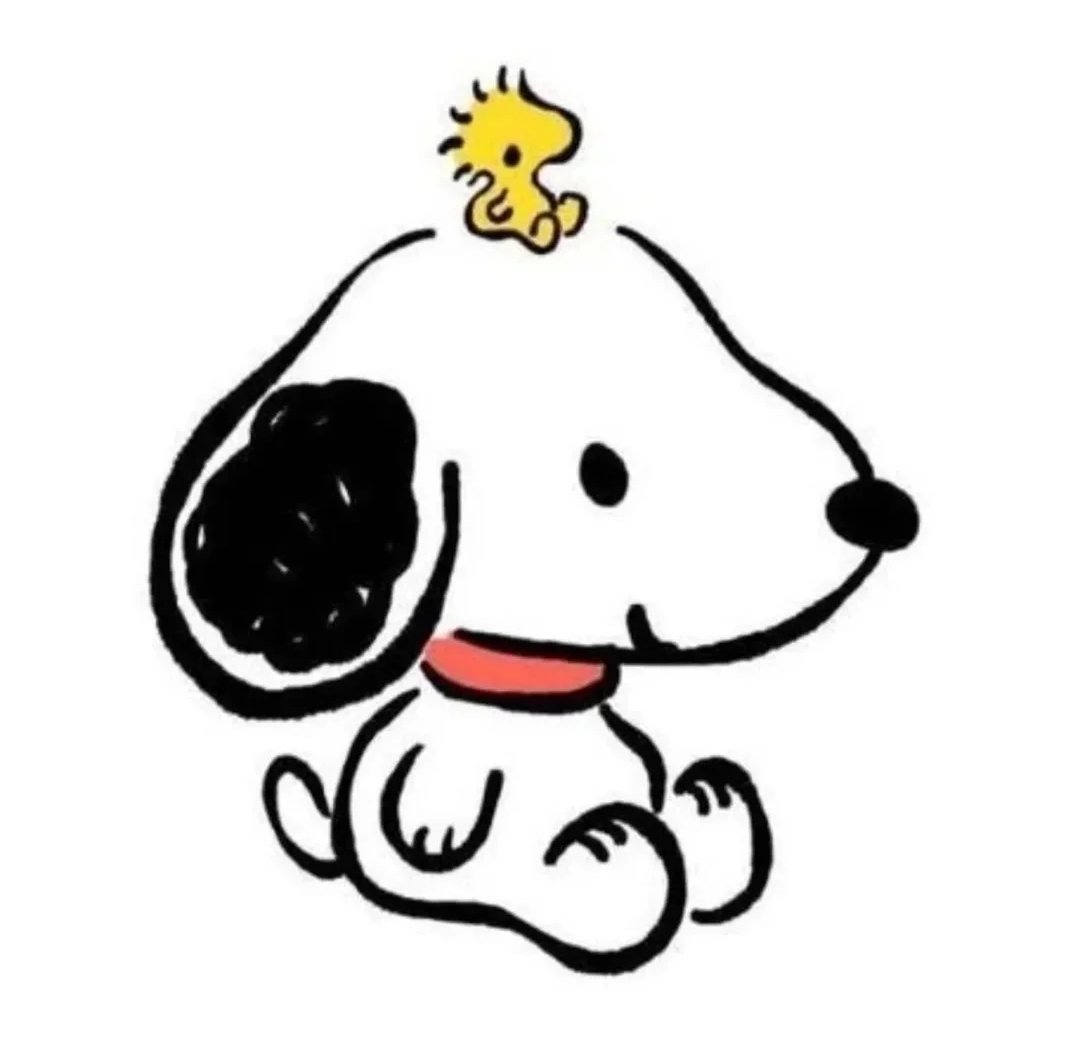 snoopyhero53's tweet photo. https://t.co/iUI9CkPSnN