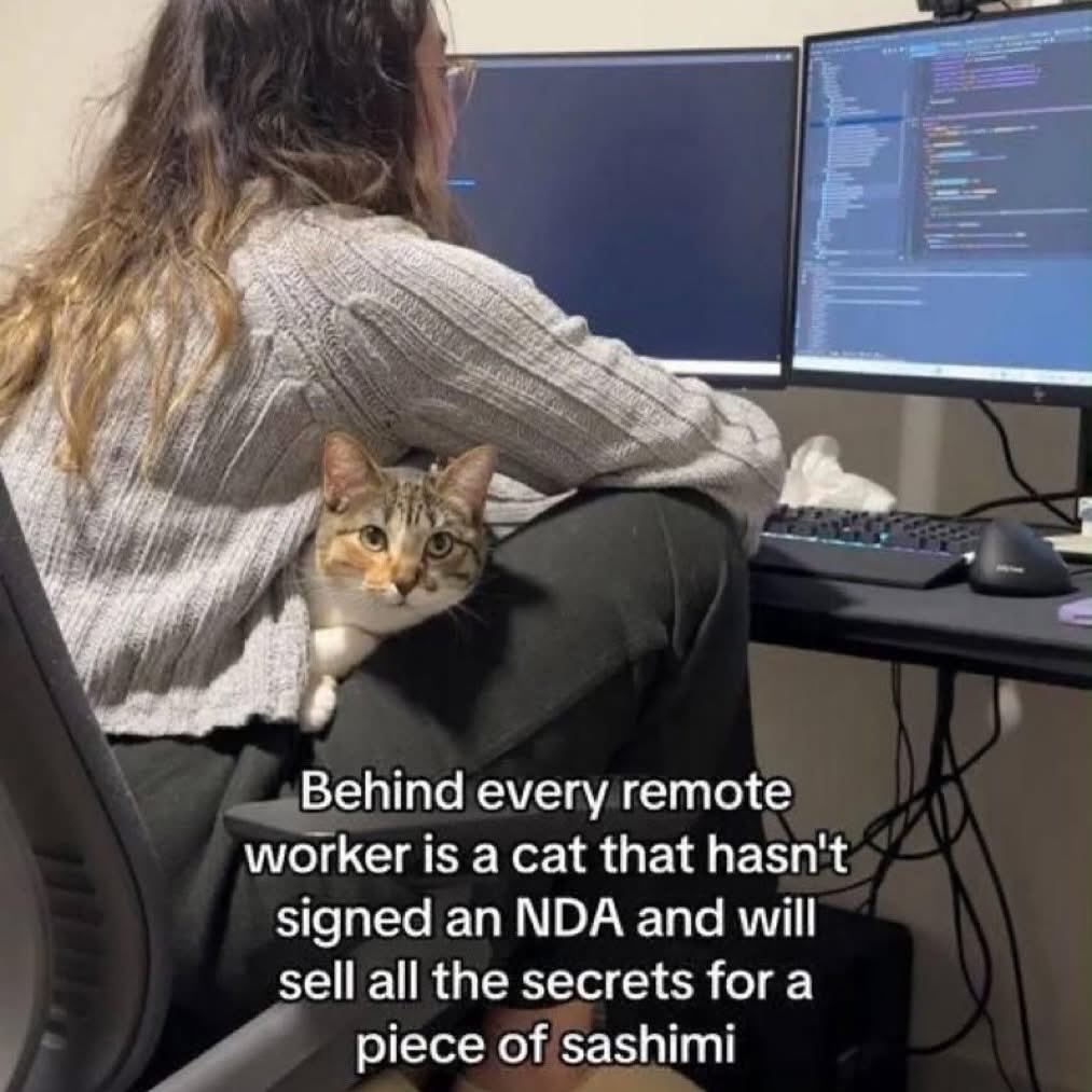 Rothmus 🏴 (@rothmus) on Twitter photo 