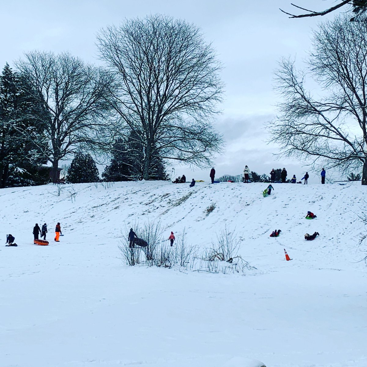 MassHort frees up popular Elm Bank sledding hill, with rules theswellesleyreport.com/2025/12/massho… <a href="/MassHort/">Mass Hort Society</a> <a href="/MassDCR/">MassDCR</a>