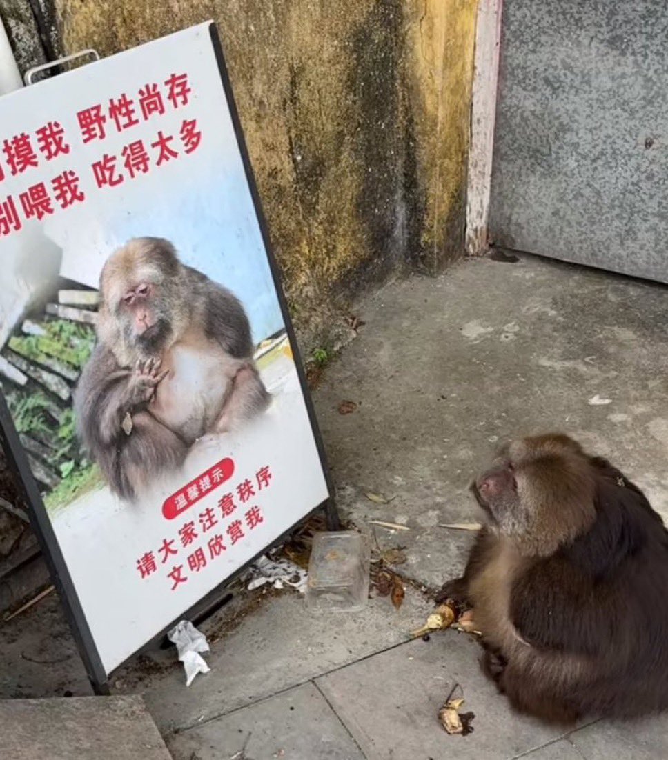 carrreto's tweet image. le gusté por wapo y coqueto y se encela porque le salí wapo y coqueto