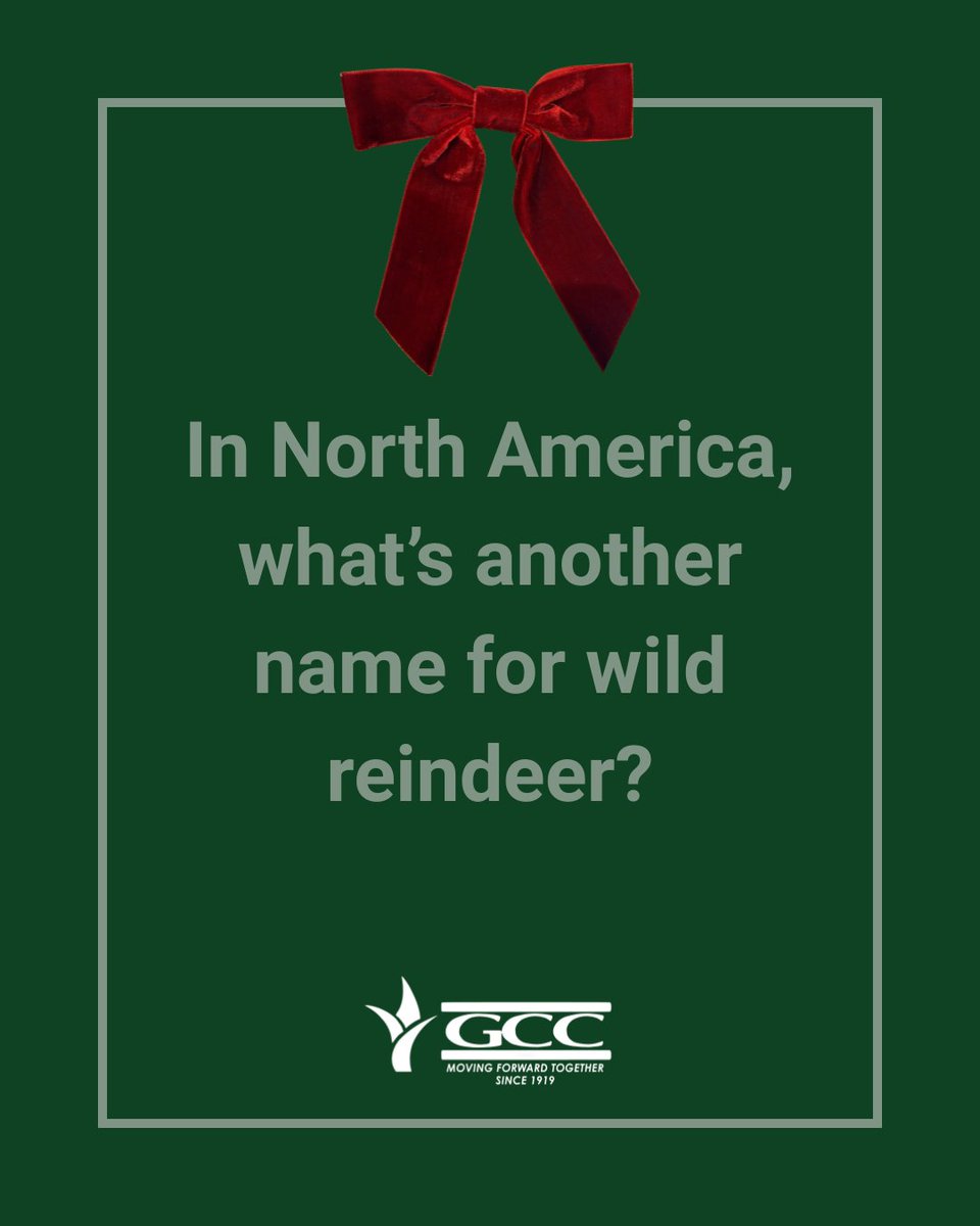 GardenCityCoop's tweet image. 🎅🎄Christmas Trivia Time! Let’s see who knows their holiday facts…

Question: In North America, what&apos;s another name for wild reindeer? 🤔

✨Drop your answer in the comments! 

#TuesdayTrivia #ChristmasFacts #GCC #MovingForwardTogether