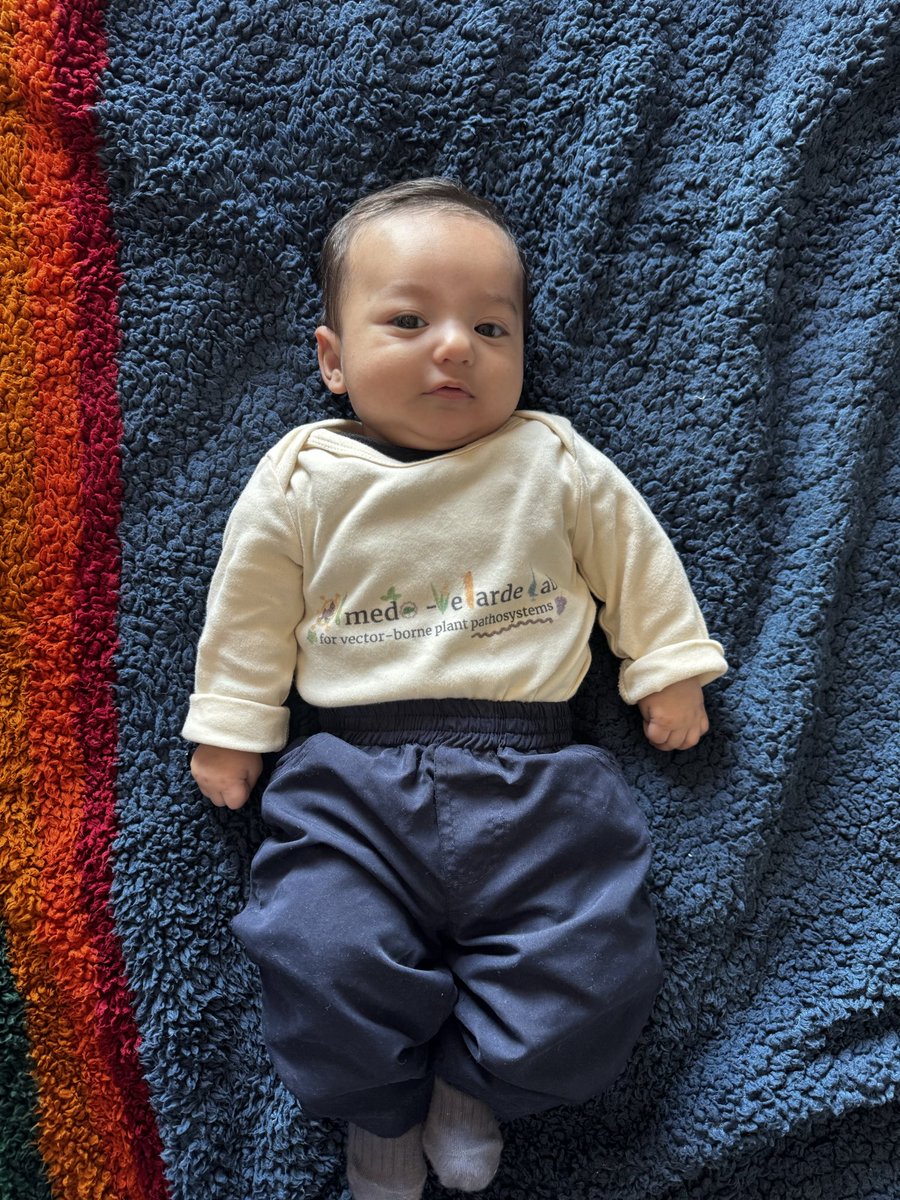 Alejandro Olmedo-Velarde tweet media