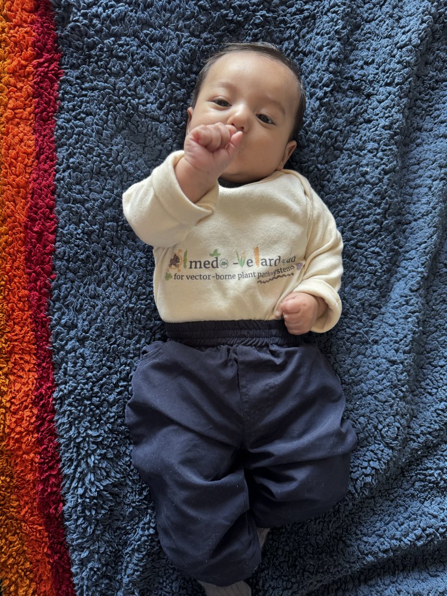 Alejandro Olmedo-Velarde tweet media