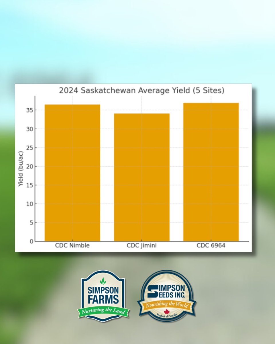 Simpson Seeds tweet media