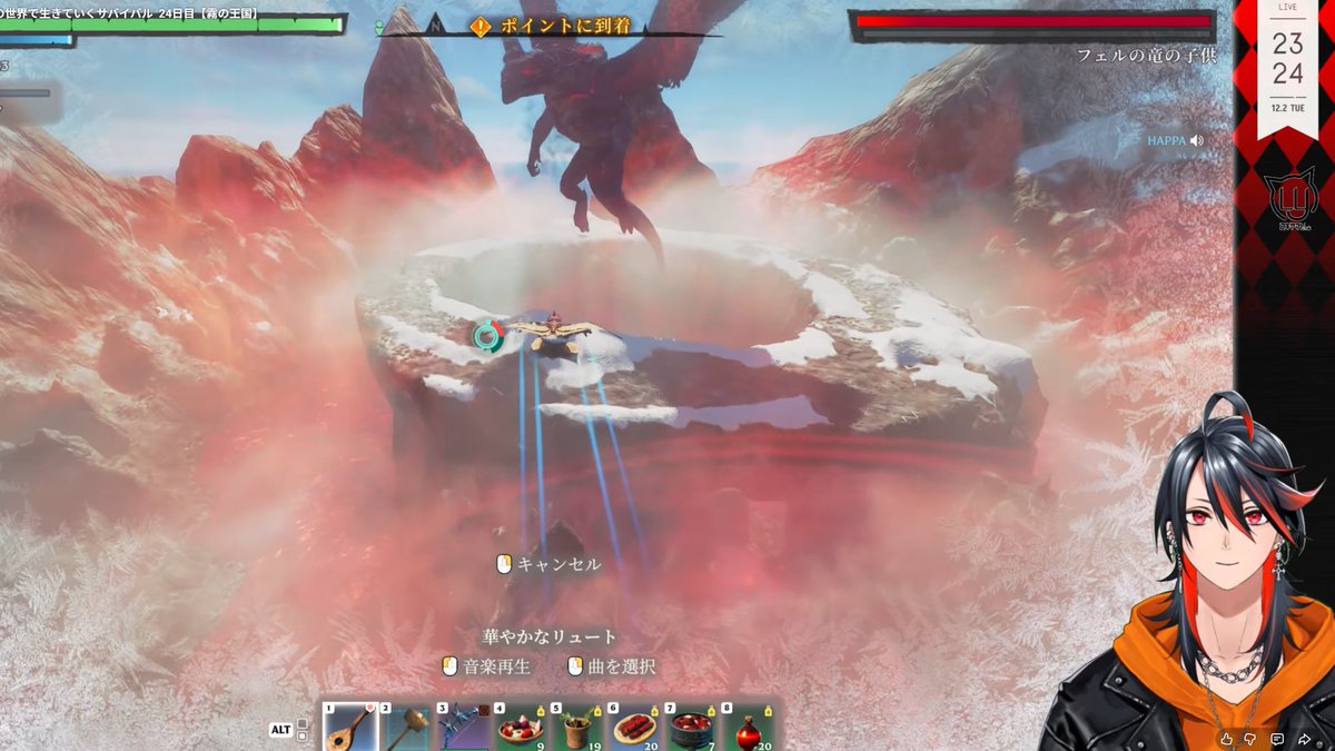 今日はドラゴン退治にでかけました ぼこぼこにされて帰ってきました