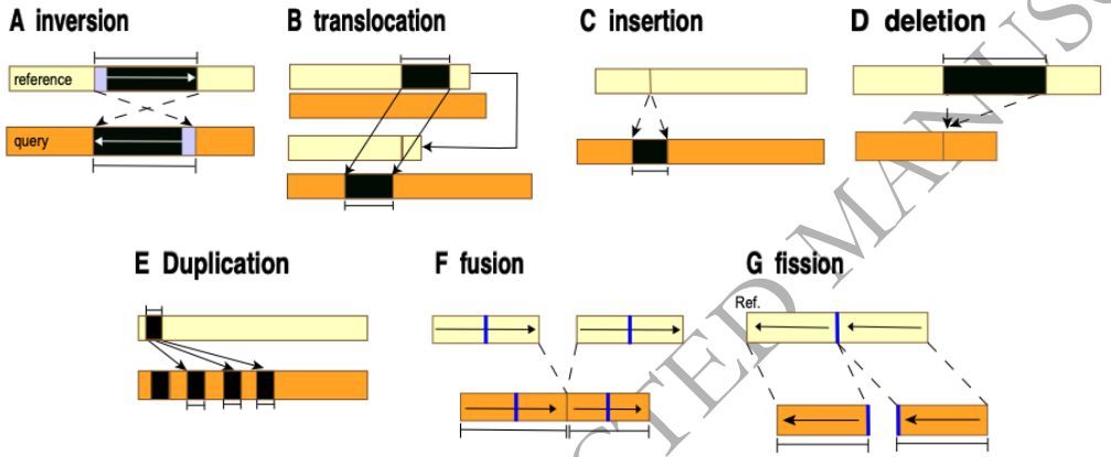jsantoyo's tweet image. The value of structural variants to conservation genomics in the pangenome era. #StructuralVariants #SVs #Bioinformatics #Genomics #ConservationGenomics #Pangenomes #JournalOfHeredity
academic.oup.com/jhered/advance…