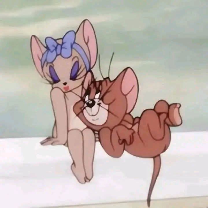 .البصراويه tweet media