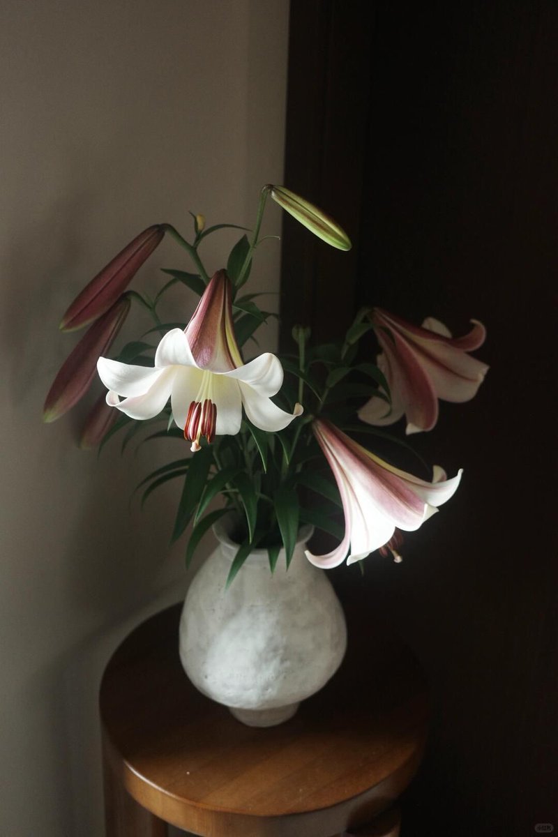 Flowers Community on X - 139.5K Members