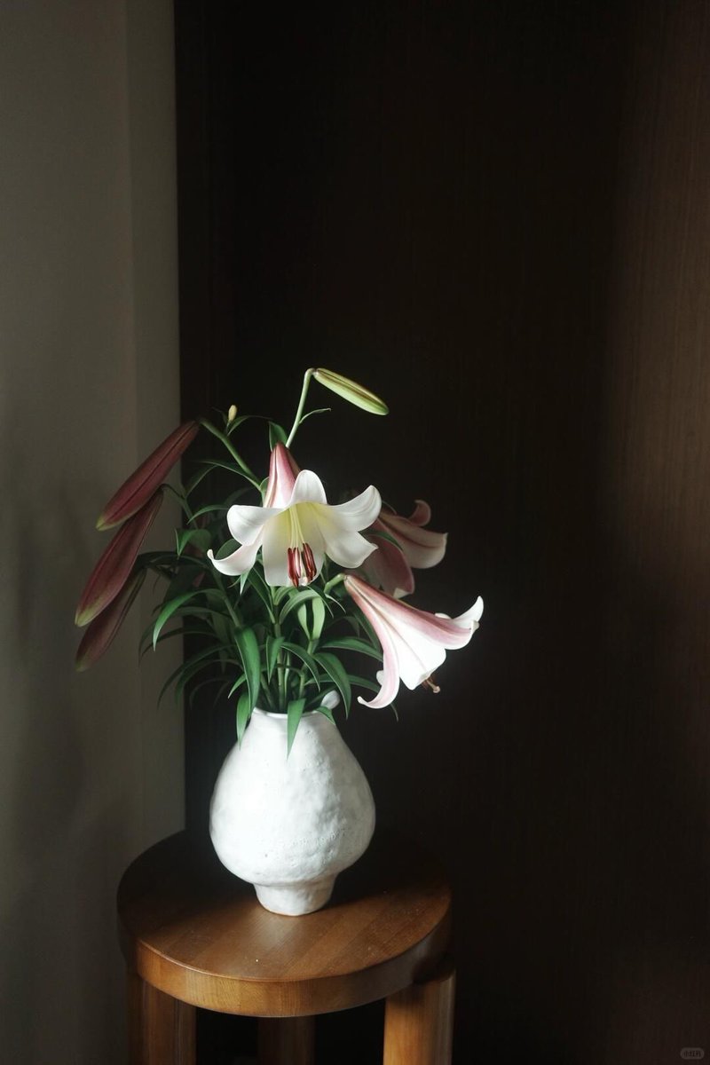 Flowers Community on X - 139.5K Members