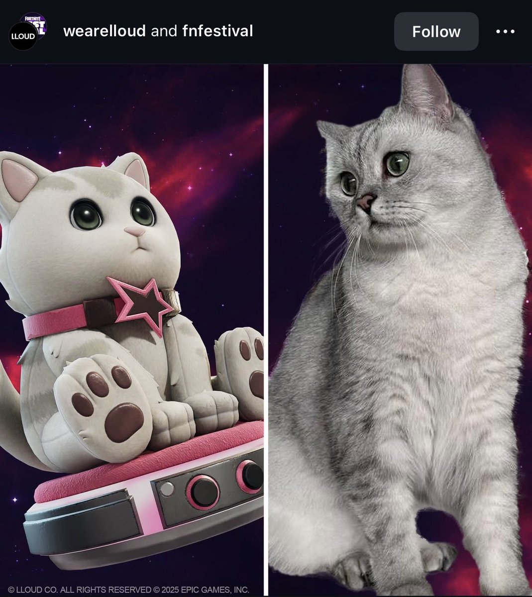 แมวถังแก๊สชักจะได้ซีนเกินไปละนะะะะ