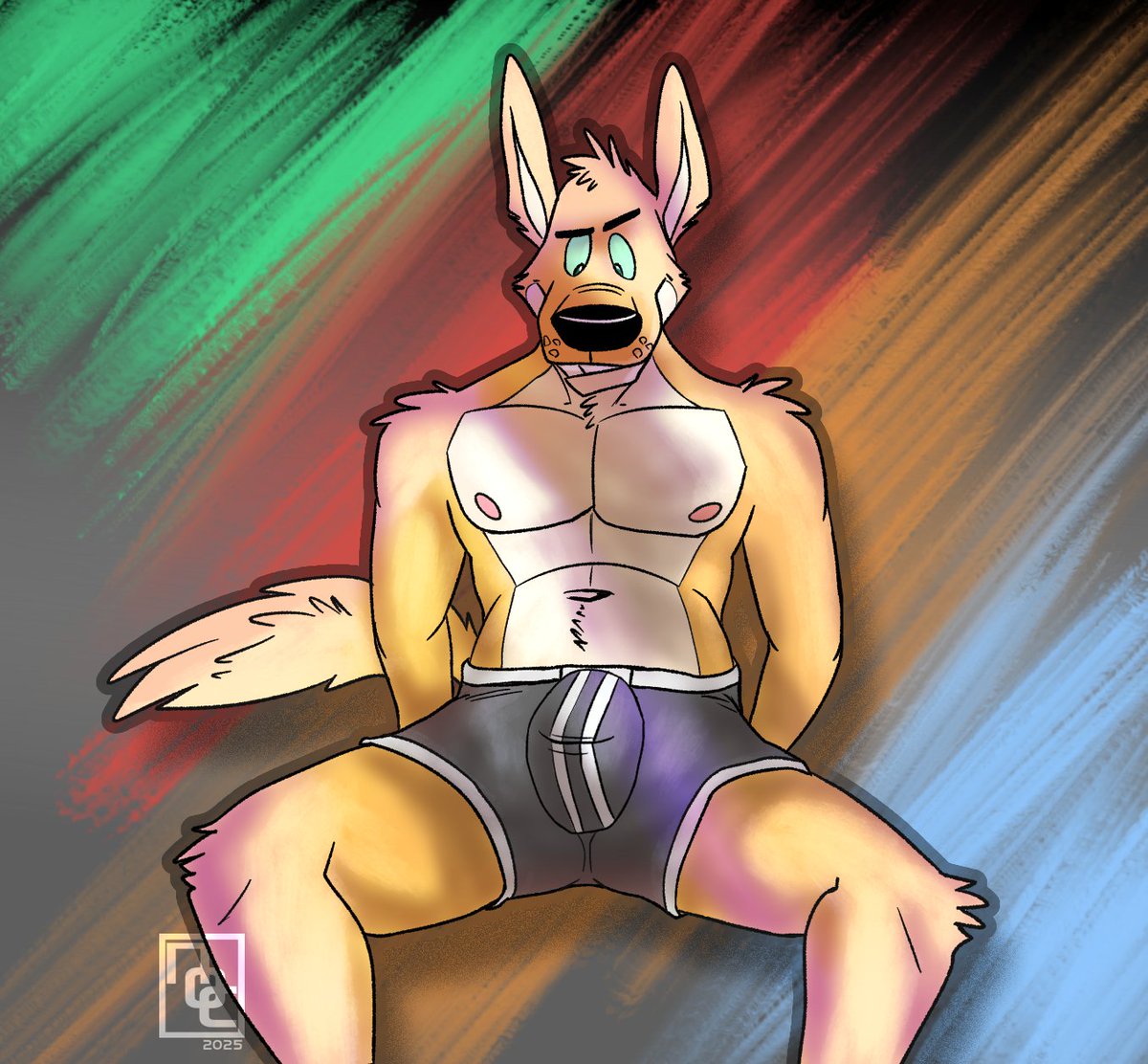 динго tweet media