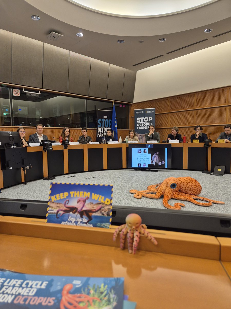 We moeten de octopuskweek stoppen, voordat ze begonnen is. De boodschap vandaag bij het event dat we organiseerden in het EU Parlement samen met <a href="/Act4AnimalsEU/">Eurogroup For Animals</a>. De kweek is een nachtmerrie voor de dieren en legt  nog grotere druk op de overbeviste oceanen. Dank <a href="/anjahazekamp/">Anja Hazekamp</a> 🐙
