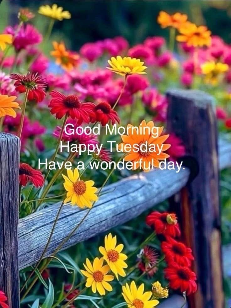 barbiesway's tweet image. #tuesdaymorning #tuesdayvibe #tuesdaymotivations #TuesdayFeeling #TuesdayFun  “Every morning starts a new page in your story. Make it a great one today.”
“If you haven’t been able to achieve something, today is the best time to start working towards it again.”
Lisa Lieberman-Wang