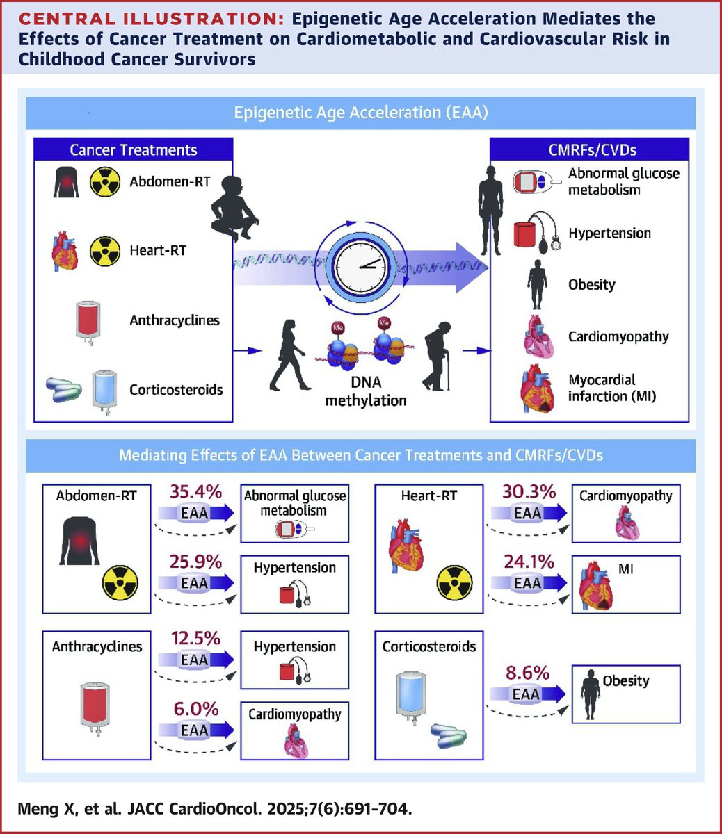JACCJournals's tweet image. In 2,939 cancer survivors, epigenetic age acceleration contributed to the assoc between prior RT, anthracyclines, steroids w/ cardiometabolic &amp;amp; #CVDs, pointing biological aging as a pathway to Tx-related late effects. jacc.org/doi/10.1016/j.…

#JACCCardioOnc #CardioOnc @DrBonnieKy
