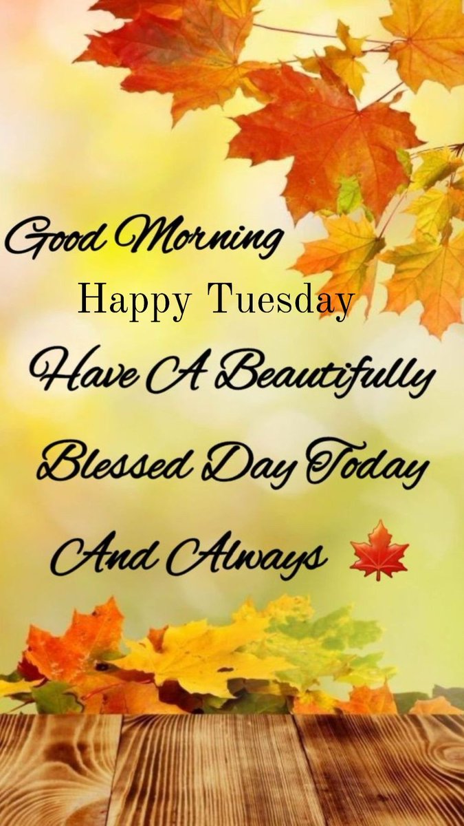 barbiesway's tweet image. “Anyone who has never made a mistake has never tried anything new.” Albert Einstein
“No matter how many mistakes you make or how slow you progress, you’re still way ahead of everyone who isn’t trying.” Tony Robbins
#tuesdayvibe #TuesdayFun #tuesdaymotivations  #TuesdayFeeling