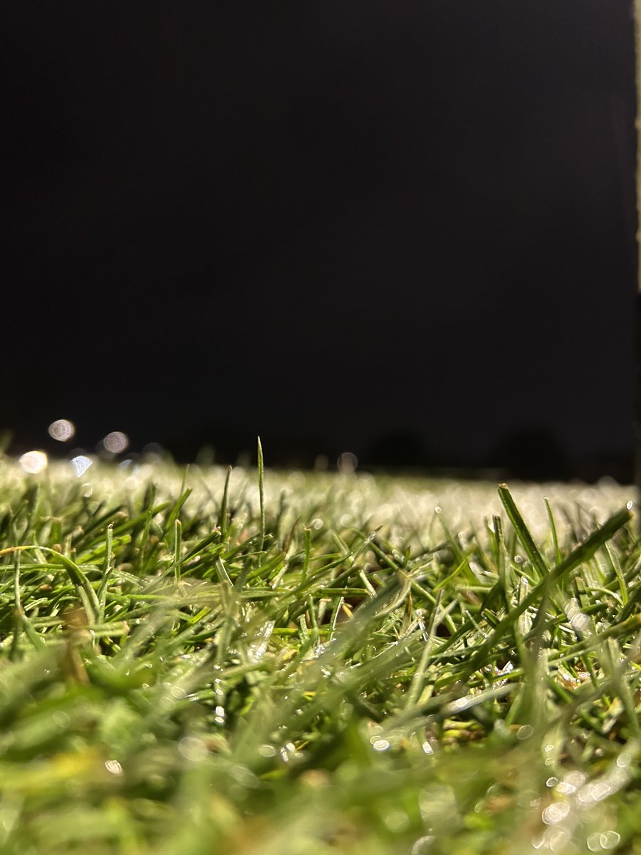 Poole Town FC 🐬 tweet media