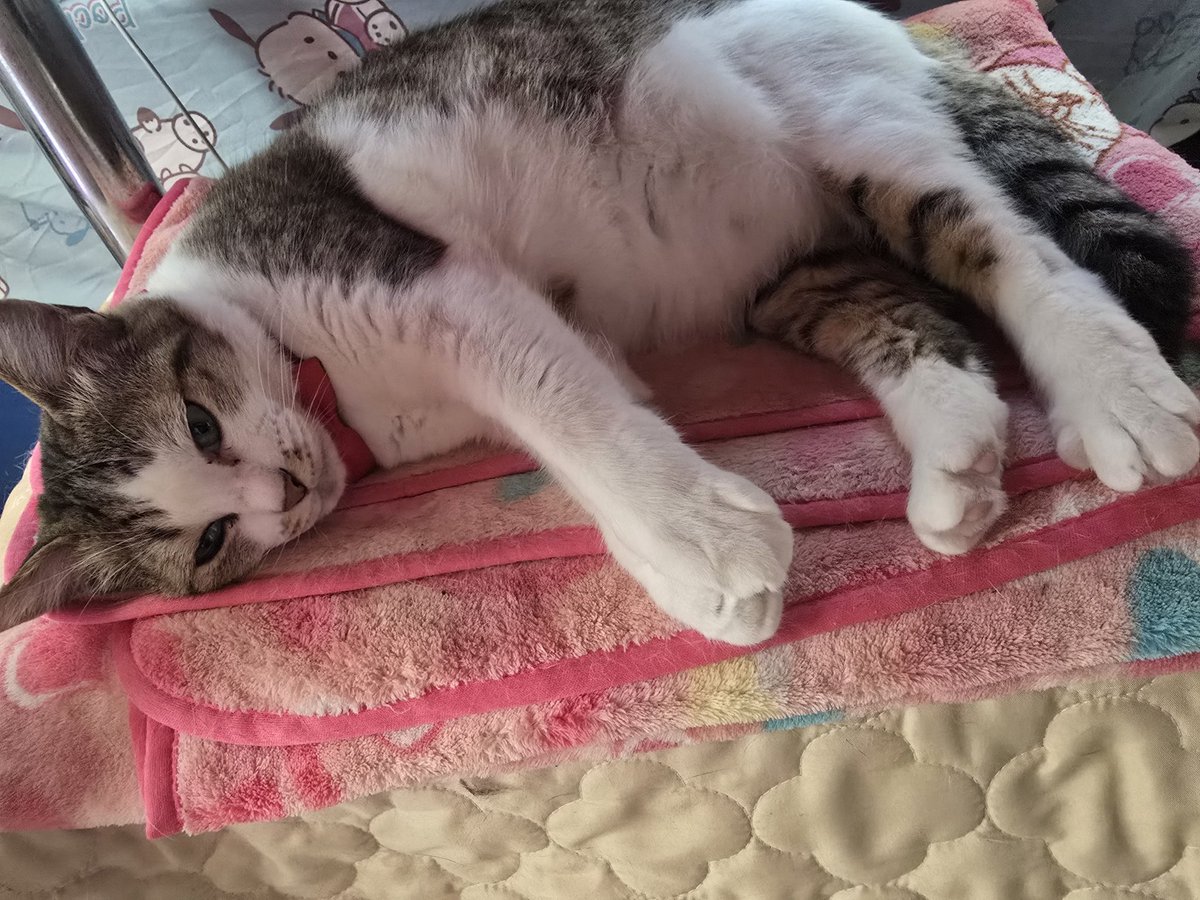 こんな感じで休日が終わる