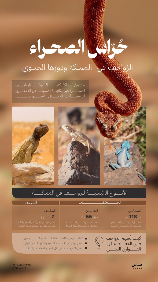تنوعٌ طبيعي ثري… وحُرّاس صامتون يحافظون على توازن الحياة في صحارى المملكة