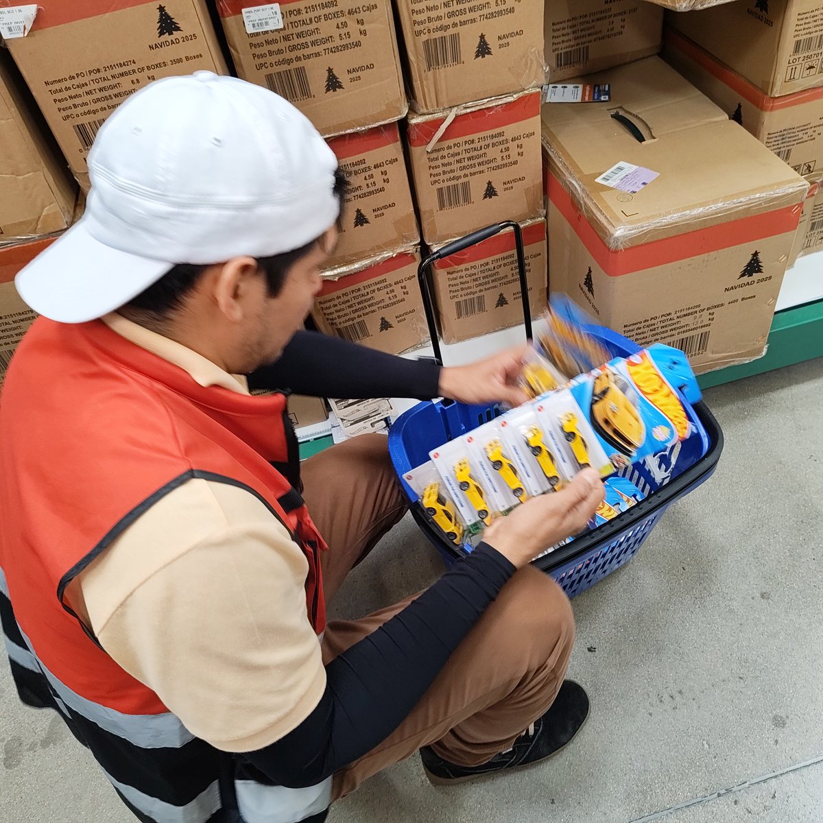 Alicia Izquierdo 🌻 tweet media