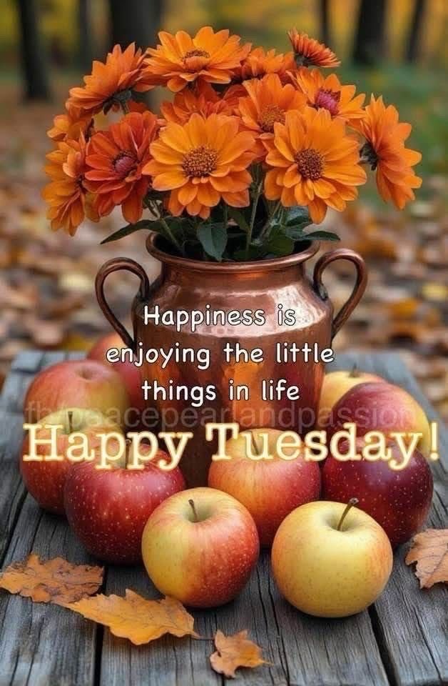 barbiesway's tweet image. &quot;Everybody makes mistakes, that&apos;s why they put erasers on pencils&quot; Tommy Lasorda
“You are the author of your own life. Don’t hand the pen to anyone else.”
“Every day is a blank page in your story. Write something worth reading.”
#tuesdayvibe #tuesdaymotivations #TuesdayFeeling