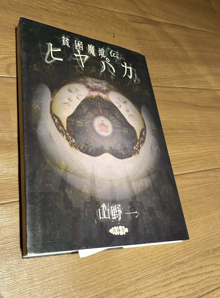 貧困魔境伝ヒヤパカ読んでるけど本当に最悪な気分になる。最高。山野一