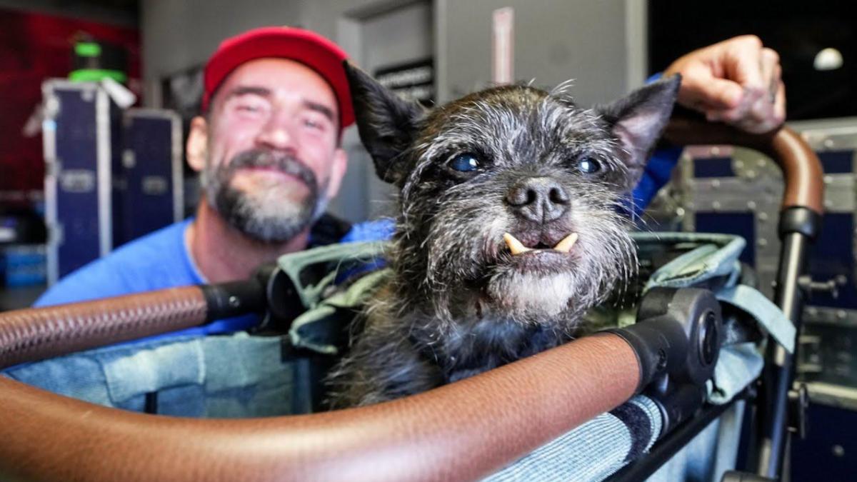 CM Punk and AJ Lee's dog Larry has passed away ❤️

CM Punk shared the following message: 

"The grief we carry is the price we pay for unconditional love. Our little Larry crossed the rainbow bridge, wrapped tightly in our arms. He was safe and happy. Surrounded by love. 

"We