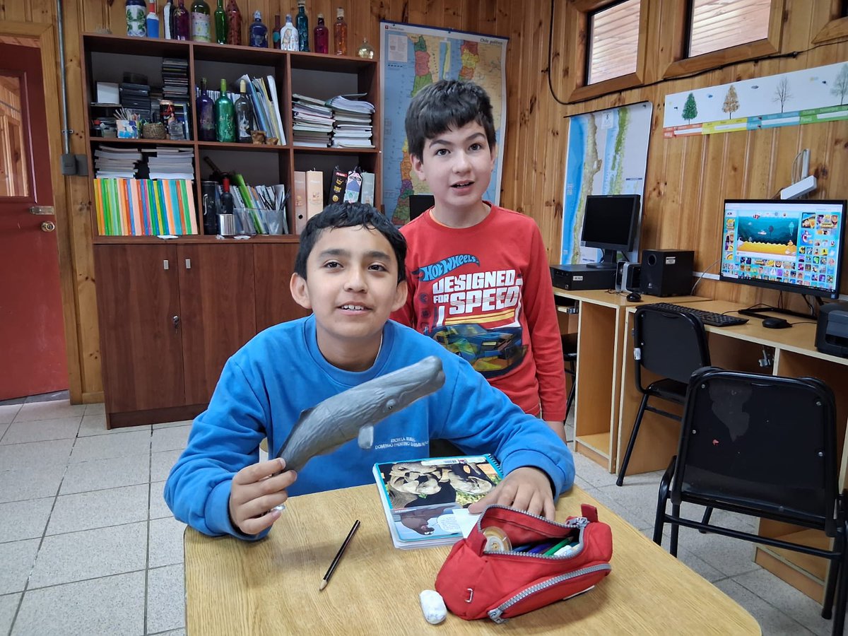 #LosLagos: Llegamos a la escuela rural multinivel de Curaco de Vélez, con 5 estudiantes, con el fin de enseñar y mostrar información de la fauna marina protegida, con foco en ballenas. Aprendieron sus principales características y cuidados al momento de observarlas.