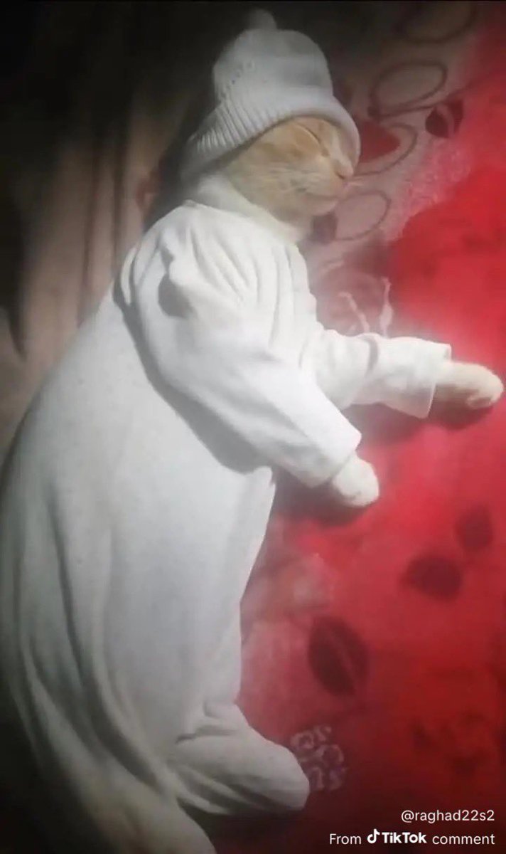 yemeği yediğimiz an bizdir