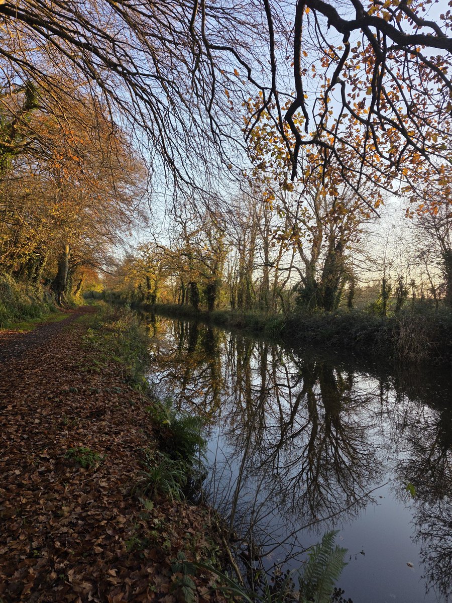 roriain's tweet photo. Another good stroll and #litter pick with Luna on the #BarrowTrack in winter sunshine. Improving where I walk one piece of litter at a time. Haws & pixie cups. #LeaveNoTrace #lovewhereyoulive #pawsonplastic https://t.co/WDJv0De7Lm